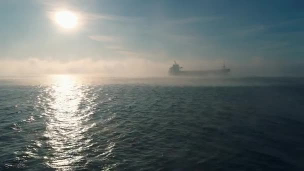 Luftaufnahme Von Fracht Containerschiff Segelt Nebel Kranschiff Arbeitet Für Die — Stockvideo