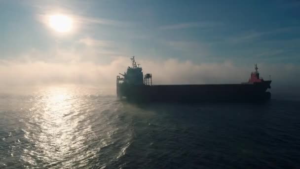 货柜船在海雾中航行 起重船在运送货柜方面的航景 — 图库视频影像