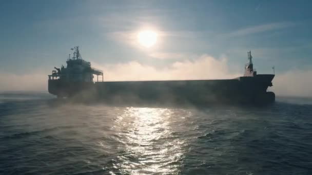 Letecký Pohled Nákladní Kontejnerovou Loď Plachty Mořské Mlze Jeřábová Loď — Stock video