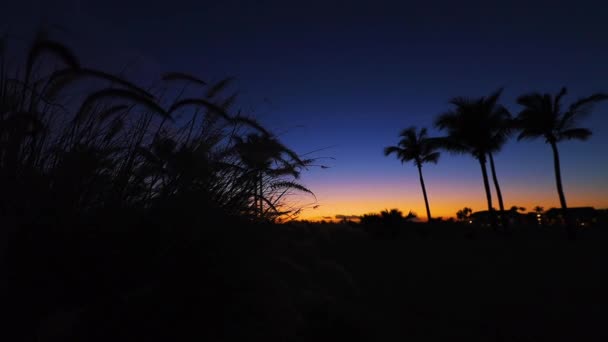 Campo Golf Isla Tropical Hermosa Puesta Sol Con Siluetas Palmeras — Vídeos de Stock