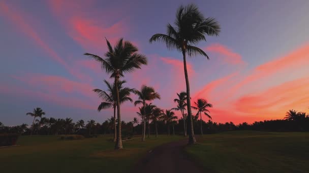 Golfplatz Auf Der Tropischen Insel Schöner Sonnenuntergang Mit Palmen Silhouetten — Stockvideo