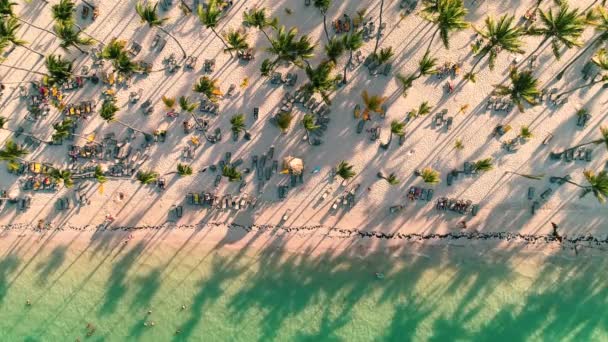 ヤシの木と白い砂とカリブ海熱帯ビーチの空中ビュー バイエルンリゾートでの旅行と休暇 ドミニカ共和国のプンタ — ストック動画