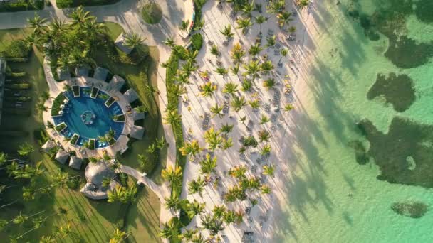 ヤシの木と白い砂とカリブ海熱帯ビーチ バイエルンリゾートでの旅行と休暇 ドミニカ共和国のプンタ — ストック動画