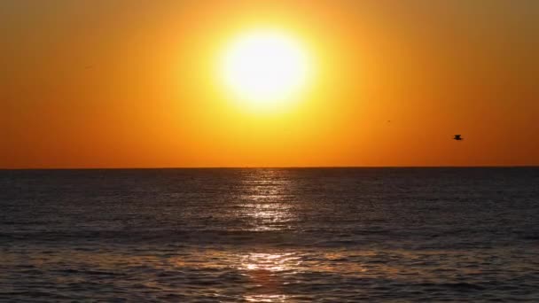 Solen Går Upp Över Horisonten Dramatisk Soluppgång Över Havsvågor — Stockvideo