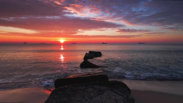 Beautiful Sunrise Sea — Stock Video