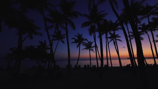 Ανατολή Πάνω Από Τροπικό Νησί Παραλία Και Φοίνικες Punta Cana — Αρχείο Βίντεο