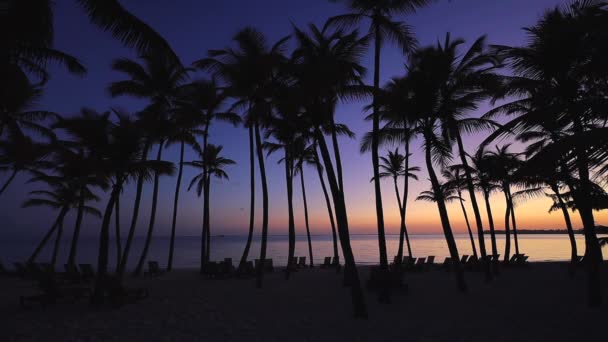 Tropik Ada Plajları Palmiye Ağaçları Üzerinde Gün Doğumu Punta Cana — Stok video
