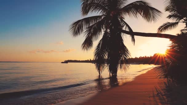 Alba Sopra Spiaggia Tropicale Dell Isola Palme Punta Cana Repubblica — Video Stock