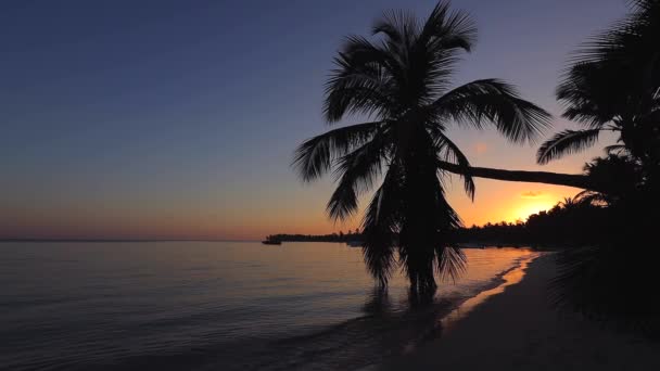 Tropik Ada Plajları Palmiye Ağaçları Üzerinde Gün Doğumu Punta Cana — Stok video