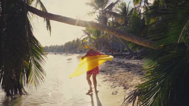 Zonsopgang Boven Tropisch Eiland Strand Palmbomen Punta Cana Dominicaanse Republiek — Stockvideo