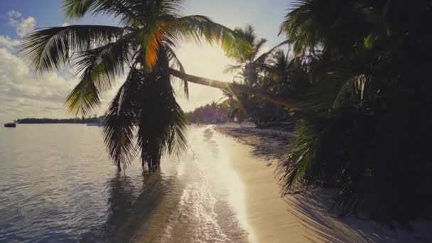 Nascer Sol Sobre Praia Tropical Ilha Palmeiras Punta Cana República — Vídeo de Stock