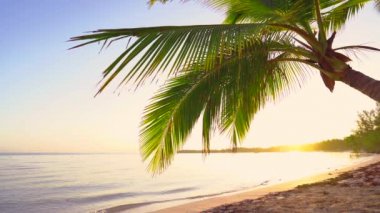 Tropik ada plajları ve palmiye ağaçları üzerinde gün doğumu. Punta Cana, Dominik Cumhuriyeti