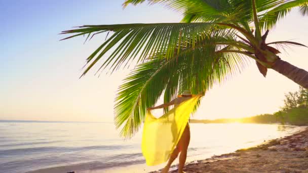 太阳升起在热带岛屿海滩和棕榈树上 多米尼加共和国Punta Cana — 图库视频影像