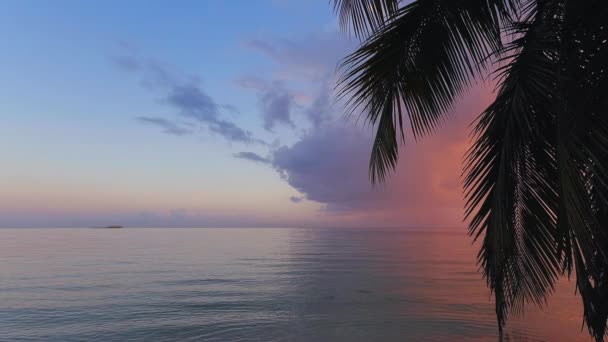 Zonsopgang Boven Tropisch Eiland Strand Palmbomen Punta Cana Dominicaanse Republiek — Stockvideo