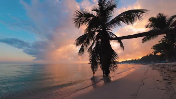 Wschód Słońca Nad Tropikalną Plażą Palmami Punta Cana Dominikana — Wideo stockowe