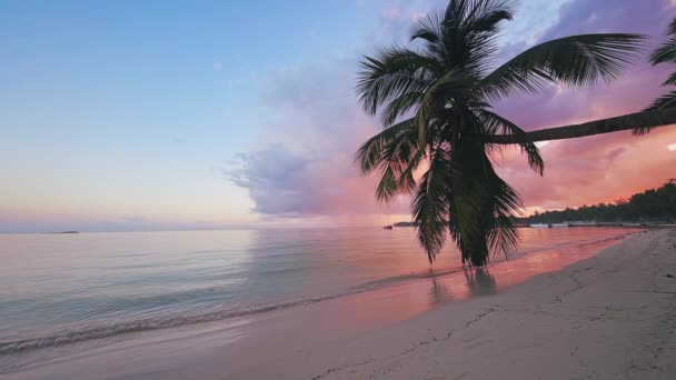 Zonsopgang Boven Tropisch Eiland Strand Palmbomen Punta Cana Dominicaanse Republiek — Stockvideo