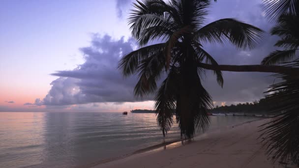 Lever Soleil Sur Plage Des Îles Tropicales Les Palmiers Punta — Video