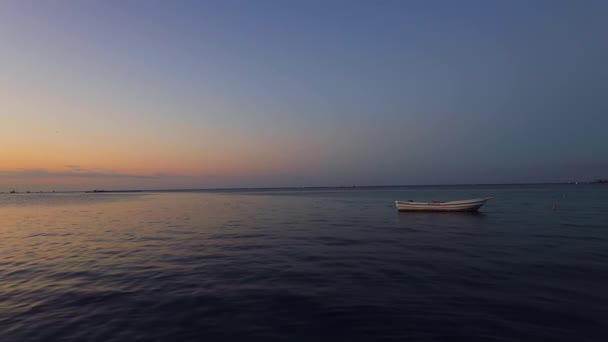 Bateau Moteur Vitesse Dans Eau Mer Des Caraïbes République Dominicaine — Video