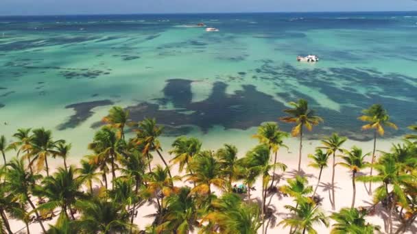 Luftaufnahme Des Tropischen Strandes Mit Kokospalmen Und Schöner Küste — Stockvideo