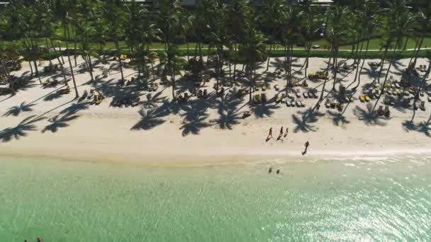 Tropical Vacation Punta Cana Dominican Republic Aerial View Beach Resort — 비디오