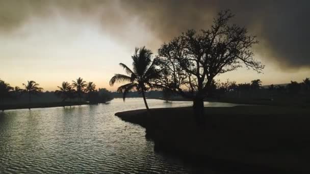 Golfbana Den Tropiska Vacker Solnedgång Med Palmer Silhuetter Video — Stockvideo