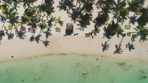 Letecký Pohled Tropickou Pláž Kokosovými Palmami Krásným Pobřežím — Stock video