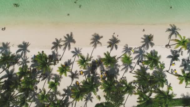 Letecký Pohled Tropickou Pláž Kokosovými Palmami Krásným Pobřežím — Stock video