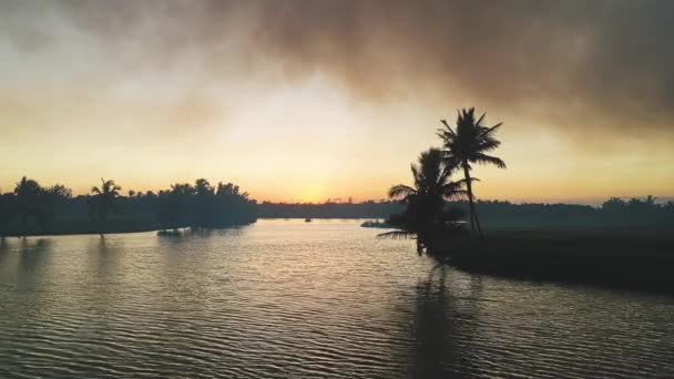Golfbaan Het Tropische Eiland Prachtige Zonsondergang Met Palmbomen Silhouetten Video — Stockvideo