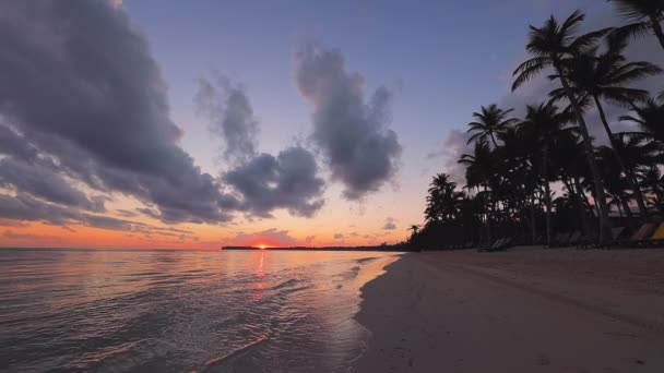 太阳升起在热带岛屿海滩和棕榈树上 多米尼加共和国Punta Cana — 图库视频影像