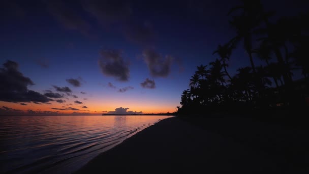 熱帯の島のビーチやヤシの木の上の日の出 ドミニカ共和国のプンタ — ストック動画