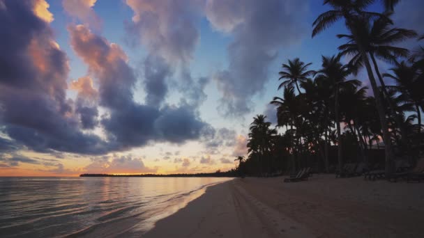 太阳升起在热带岛屿海滩和棕榈树上 多米尼加共和国Punta Cana — 图库视频影像