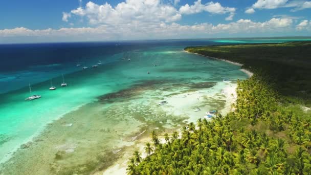 Ilha Saona Mar Caribe República Dominicana Vista Aérea Drone — Vídeo de Stock