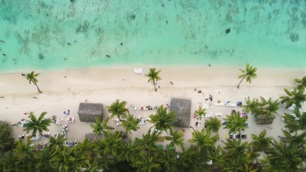 Vista Aérea Playa Tropical Con Palmeras Coco Hermosa Costa — Vídeos de Stock