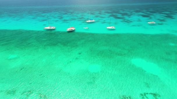 Mare Dei Caraibi Vista Aerea Catamarano Barche Vela Motoscafi Nell — Video Stock