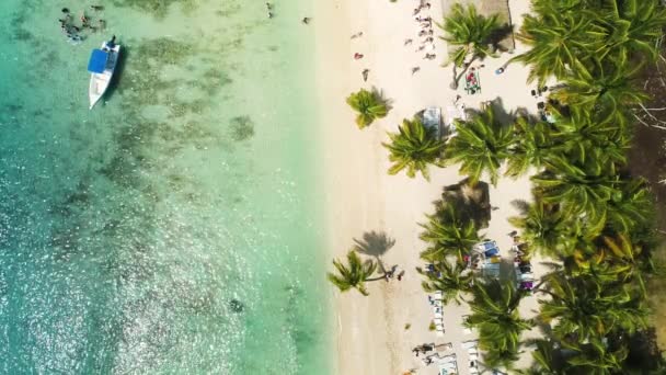 Aerial View Tropical Beach Coconut Palm Trees Beautiful Coastline — Stock Video