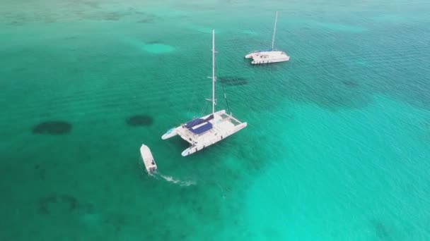 Plachetní Katamaran Plachetnice Rychlé Čluny Oceánu Letecký Pohled Karibské Moře — Stock video