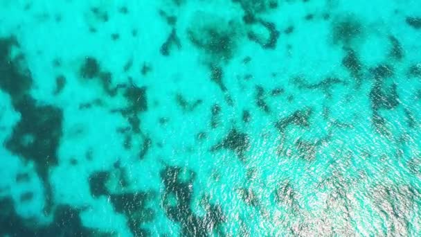 Vista Superior Aérea Del Mar Caribeño Ondulado Turquesa Arrecife Coral — Vídeo de stock