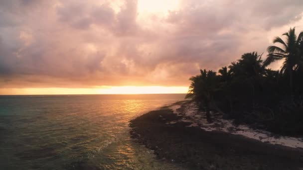 Paysage Île Exotique Tropicale Dans Mer Des Caraïbes République Dominicaine — Video