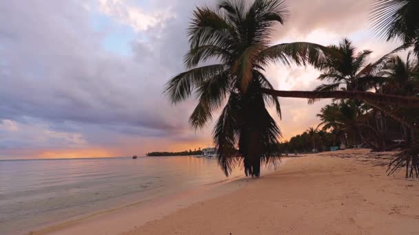 太阳升起在热带岛屿海滩和棕榈树上 多米尼加共和国Punta Cana — 图库视频影像