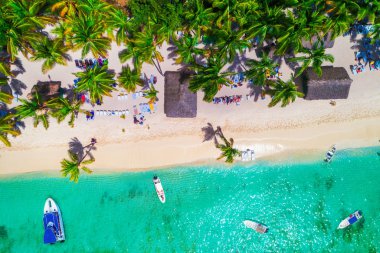 Aerial view of tropical beach. Saona island, Dominican republic clipart