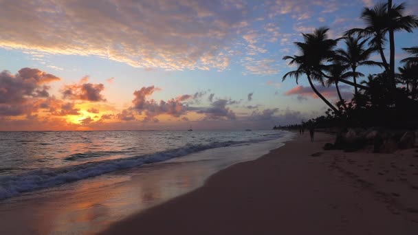 热带岛屿 异国情调的海滩 周围有棕榈树 度假理念 — 图库视频影像