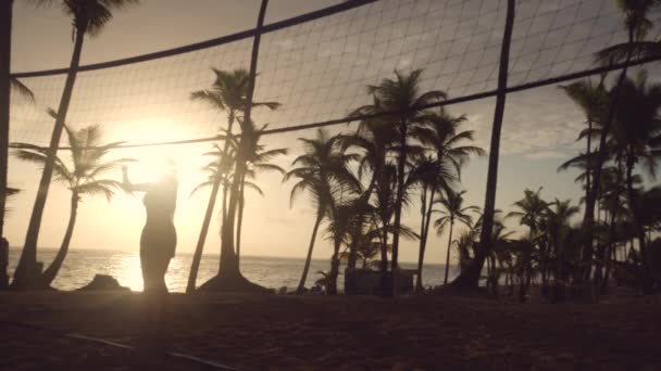 熱帯のビーチでの日の出 ビーチバレーをしている友人 — ストック動画