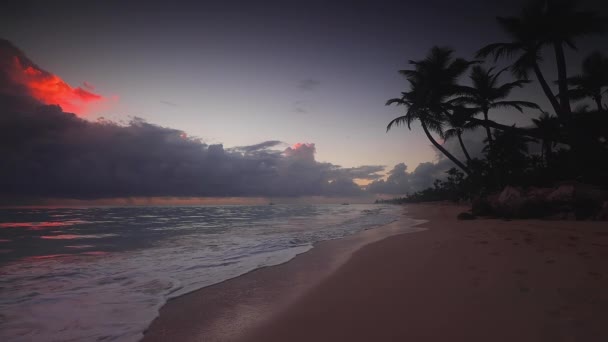 Sonnenaufgang Und Tropischer Strand Auf Der Karibik Insel Punta Cana — Stockvideo