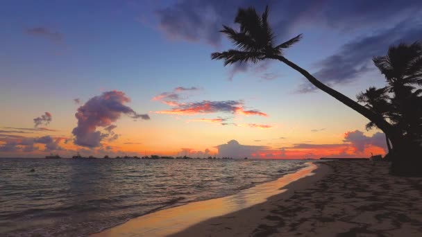 Tropische Insel Exotischer Strand Mit Palmen Urlaub Und Urlaub Hintergrund — Stockvideo