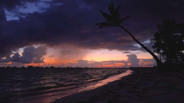 Tropische Insel Exotischer Strand Mit Palmen Urlaub Und Urlaub Hintergrund — Stockvideo