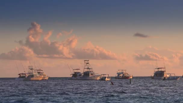 Katamaran Żeglarski Żaglówki Motorówki Oceanie Wschód Słońca Nad Morzem Karaibskim — Wideo stockowe