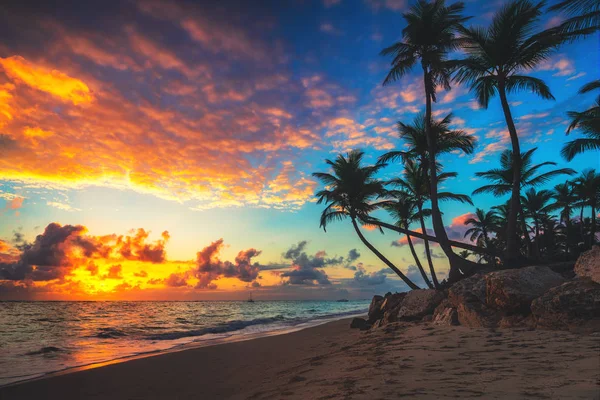 Paisaje del paraíso playa isla tropical — Foto de Stock
