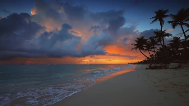 热带岛屿海滩上有奇异椰子树的戏剧性的日出 — 图库视频影像