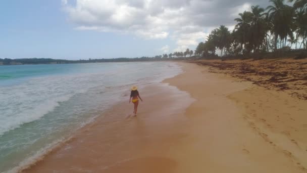 无忧无虑的年轻女子在异国情调的海滩上放松 加勒比热带度假 — 图库视频影像
