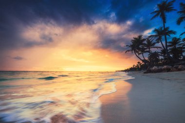 Cennet manzarası tropik ada plajı, gün doğumu görüntüsü